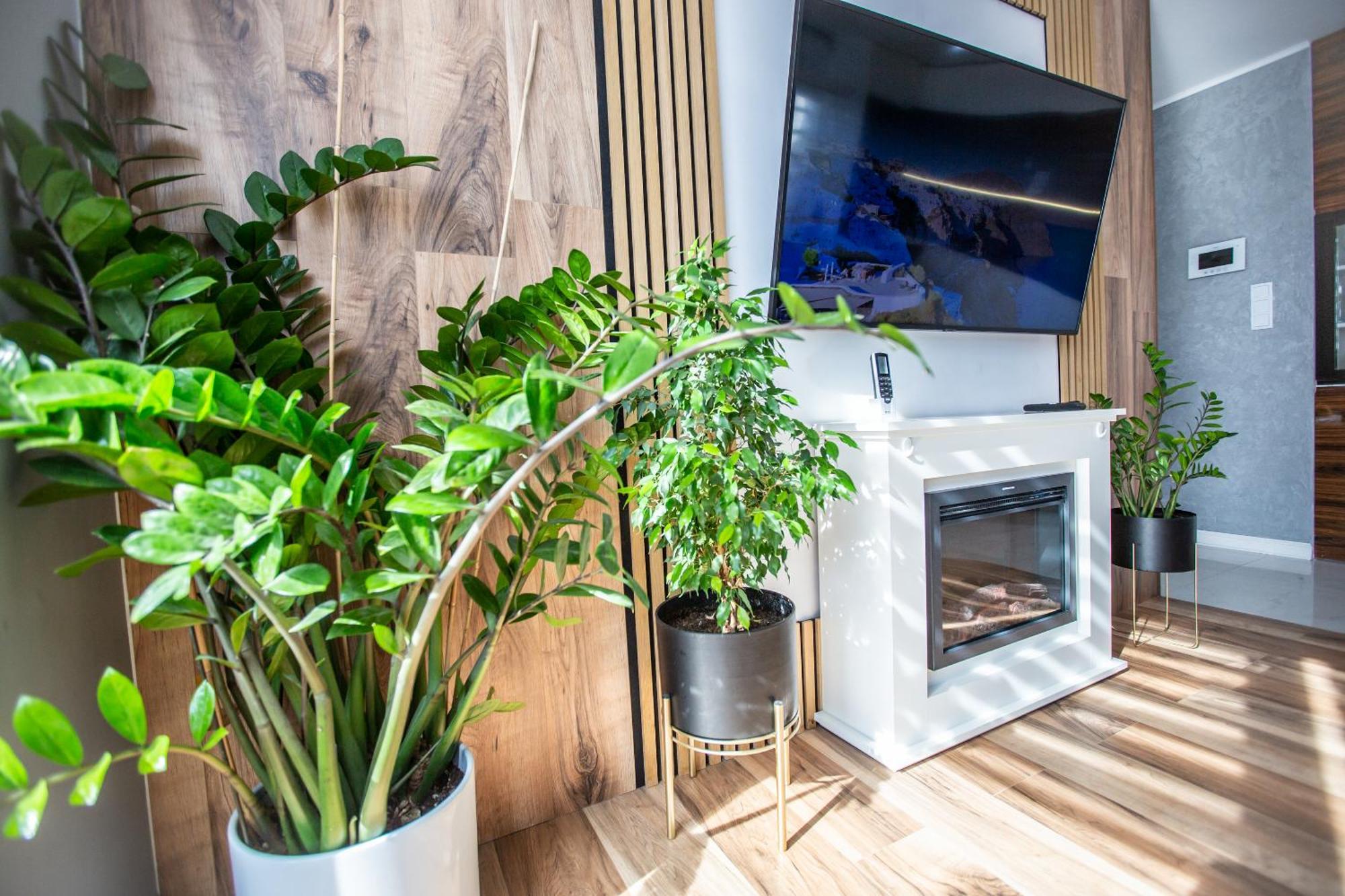 Wlodarska 4A Apartament Premium Красков Екстериор снимка